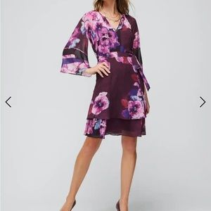 White House Black Market NWT 3/4 ruffle sleeve Chinoiserie dress size Large